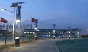 Quality Solar LED street lamp wholesale