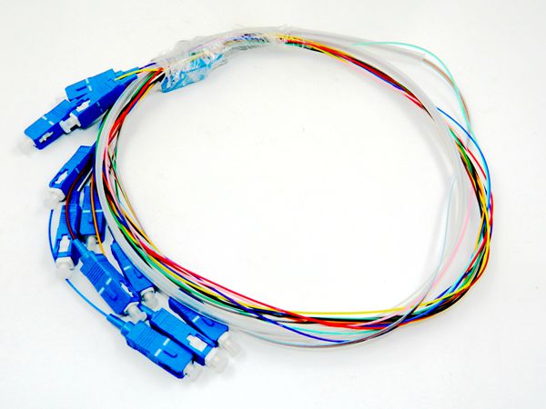 1310nm 1510nm SC UPC 12 Fiber 900um Optic Fiber Pigtail