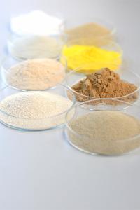 Quality Commercial Pectinase Enzyme Powder / Liquid Used In Plant Extraction wholesale