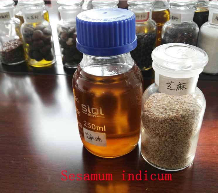 Sesame Seed Oil Press Automatic Food Processing Machine High Yield
