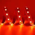 24V SMD 5050 Rgbw Led Strip 4 In 1 Warm White Light 5m Waterproof Strip Lights
