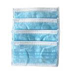 17.5x9.5cm PM2.5 Disposable Earloop Face Mask