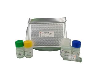 Quality Strong Specificity Mouse Cathelicidin Antimicrobial Peptide CAMP LL-37 ELISA Kit 96 Wells wholesale