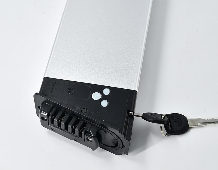 Replacement Samsung Zhenlong Phylion Mifa 48V Lithium Ion Battery Vehicle Battery