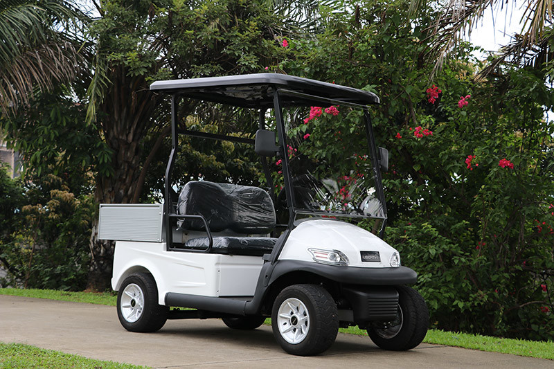 2 Seats Electric Golf cart With Aluminum Cargo Box 560KG Weight Capacity