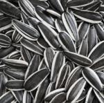 wholesale factory supplier raw sunflower seeds 601 good quality Amazon’s best