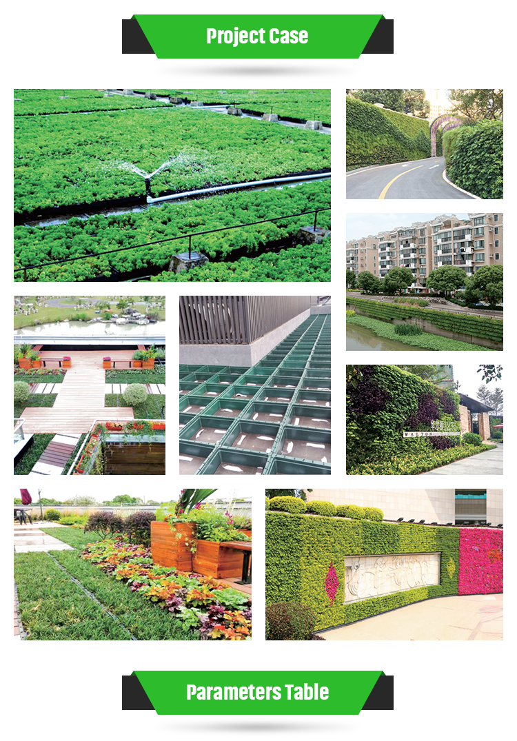 Modern Design Plastic Permeable Grid Stabilize Your Driveway for Lawn Protection
