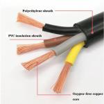 CE ROHS Copper Conductor PVC Insulation Multicore Flexible Cable Royal Cord 300
