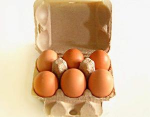 Quality Popular customized 6 holes egg carton egg tray production line egg box machine wholesale