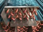 Air Conditioning Refrigeration Evaporator Coils Copper Tube Fin Type