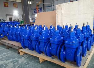 Quality cast iron gate valve GGG40 DN100 PN16 wholesale