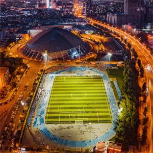 Quality Synthetic Flooring Outdoor Sports Surfaces Multi Purpose wholesale