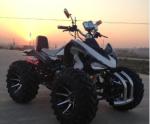 China ATV250cc07
