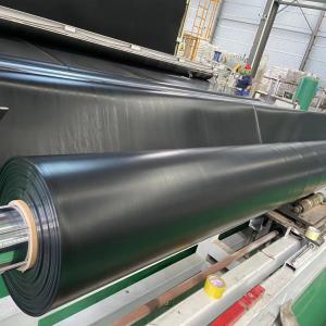 Quality Black Plastic Sheet Pond Liner Waterproofing HDPE Geomembrane 0.2mm/0.5mm/1.0mm/2.0mm wholesale