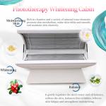 Manufacturer high power diodes photobiomodulation light therapy bed PBM red
