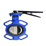 Customized 3 Inch PN16 PN25 Steel Carbon Steel Rising Stem Water Manual Gate