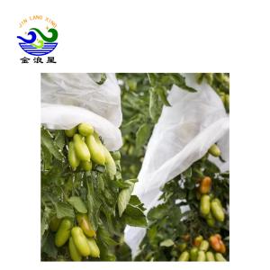 Quality Greenhouse Nonwoven 40gsm Fabric Fruit Protection Bag wholesale