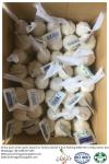 Purewhite garlic export to Turkey by Pioneer garlic.5.0-5.5cm;200g*50 in 10kg