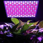 Hydroponic Indoor Plant Grow Light