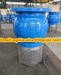 DN200 PN16 GG25 foot valve