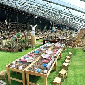Quality US 20/Square Meter Hydroponics Sunlight Greenhouse for Vegetable Strawberry Flower wholesale