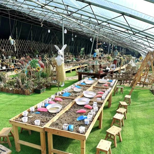 US 20/Square Meter Hydroponics Sunlight Greenhouse for Vegetable Strawberry