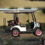 Electric Golf Cart 4 Seats 80-1200km Range 6Hours Charging Time with lithium