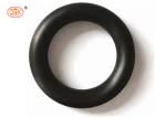 Corrosion Resistant Fluorocarbon FPM Piston Rod Seal High Temperature Resistant