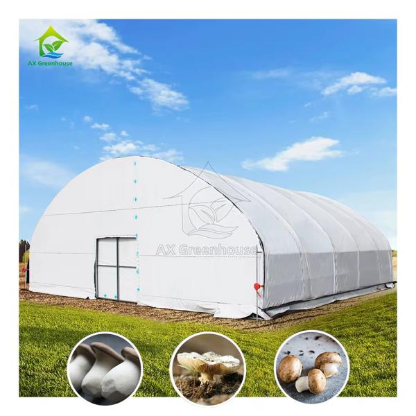Fully Blackout Single-span 10x30m Agricultural Light Deprivation Mushroom