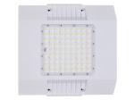 Explosion-proof 100W LED Canopy Lights for Gas Station