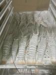 50kg Ultra Cold Flash Freezer Sus304 Small Blast Chiller For Home 300kg/H