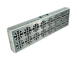 Quality 600W Full bloom Hydroponics 660nm RED LED grow lights wholesale