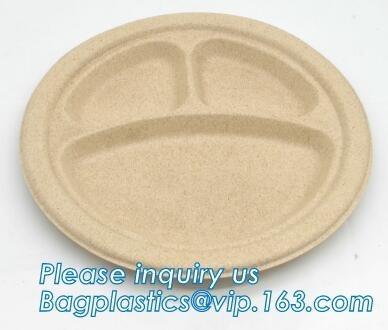 biodegradable disposable corn starch tray compartment catering tray fruit