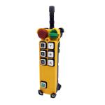 F24-6D Industrial Overhead Crane Telecrane Wireless Remote Control