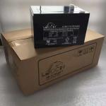 Leoch Battery DJW12-12 12V12Ah for Solar Energy Storage Power System Lighting