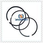 612600030051 Engine Piston Ring For Sinotruk Shacman