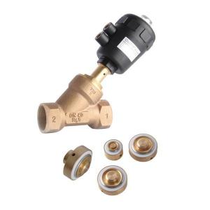Quality SeriesPV600(Gunmetal Body-Burkert) wholesale