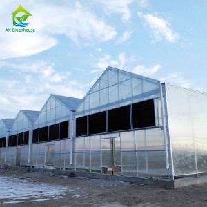 Quality Commercial Blackout Light Deprivation Greenhouse Medical Plants Growing wholesale