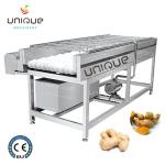 Mango Brush Cleaning Machine for Pear Apple Carrot Mud Cleaning 3000*1250*1350
