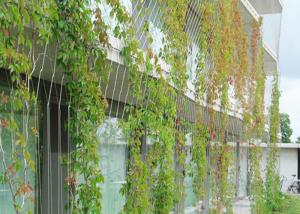 Quality Plant Climbing Metal Garden Wire Trellis / Stainless Steel Ferrule Rope Mesh wholesale