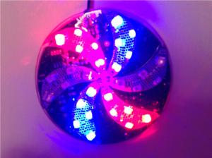 Quality samll size white PCB DC12V LED motorcycle flash lights windmill shape wholesale