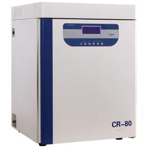 Quality Lab Humid CO2 Incubator SUS 304 Stainless Steel Inner Cell Incubator Co2 wholesale