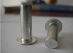 Aluminum Rivets for Auto Parts