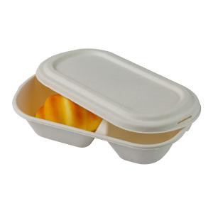 Quality Biodegradable Sugarcane Bagasse Food Container Pulp Lunch Food Take Away Tableware wholesale