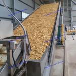 Granular Activated Carbon DW / DWC Belt Dryer Heat Transfer Oil