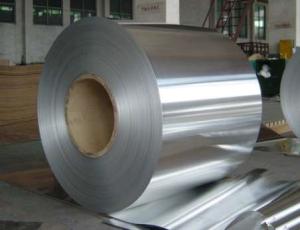 Quality Mill finish Aluminum Coil/Sheet wholesale