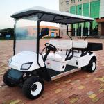 Customizable color 4-seater EV lithium lead aic battery golf buggy cart