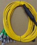 3.0mm ZGT Female MTP MPO Fiber Cable Assemblies
