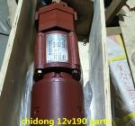 CE Certified Z12V190b Jinan Diesel Generator Parts The Piston Pin Included