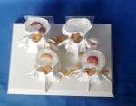 Vertebrae Diseased 4 Stage PVC Human Lumbar Spine Anatomy Model